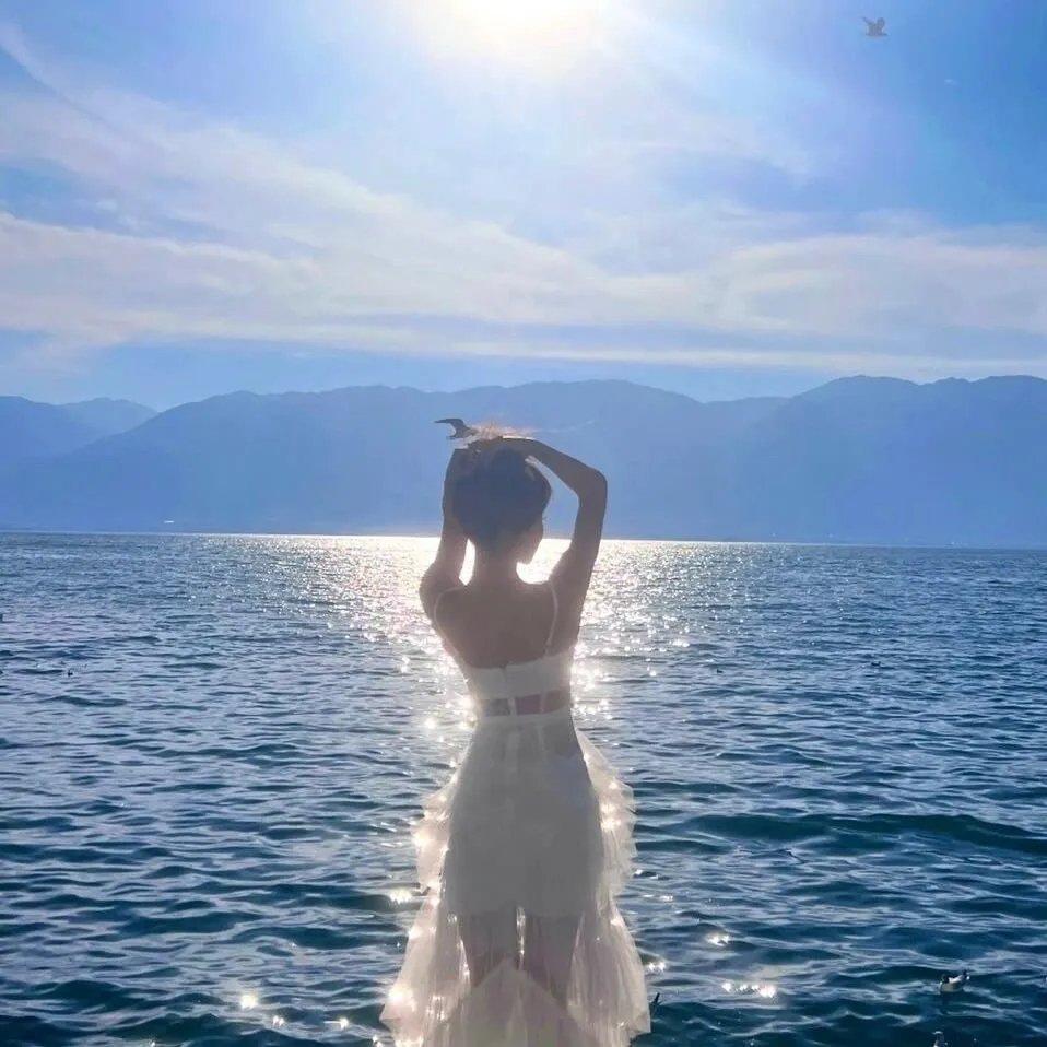 危险女婿