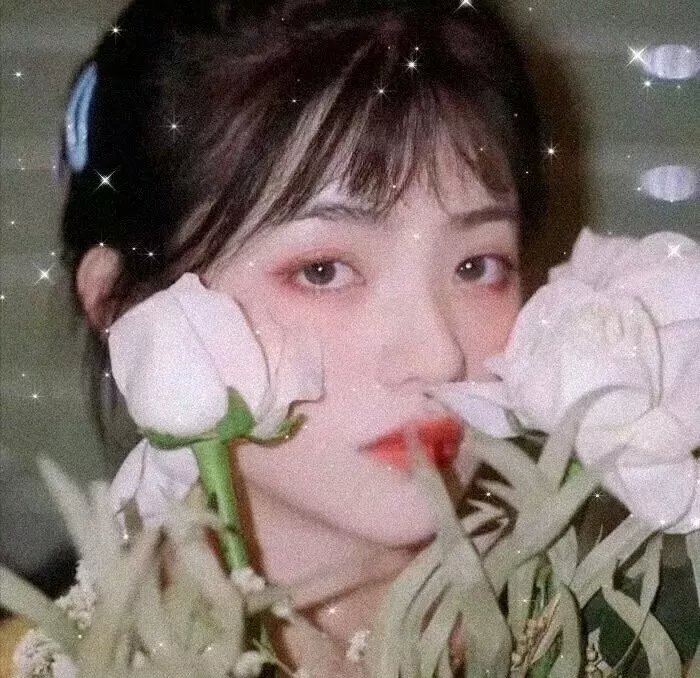 宅男的伟大愿望