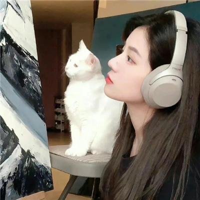 无处安身